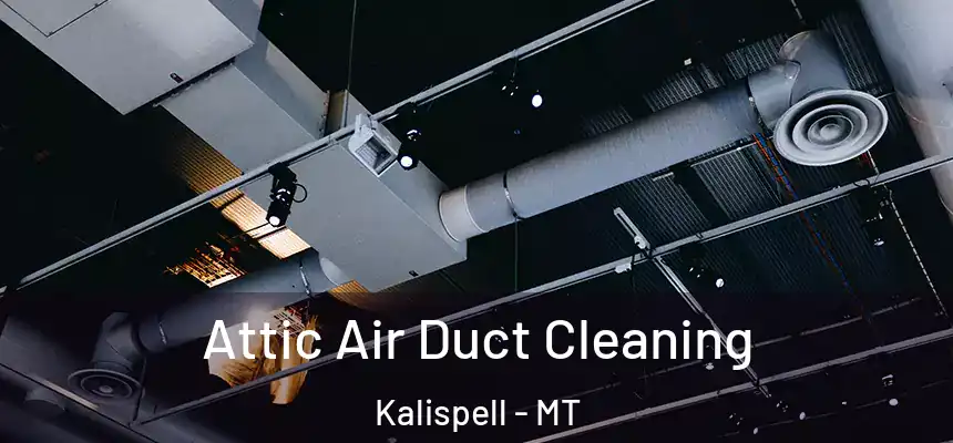  Attic Air Duct Cleaning Kalispell - MT