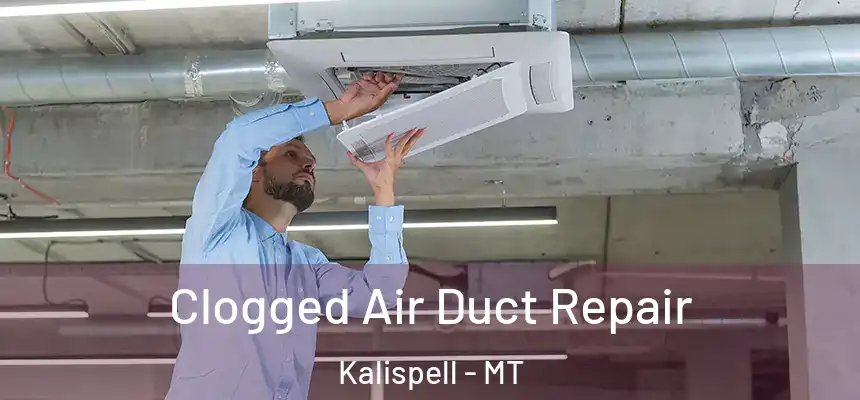 Clogged Air Duct Repair Kalispell - MT