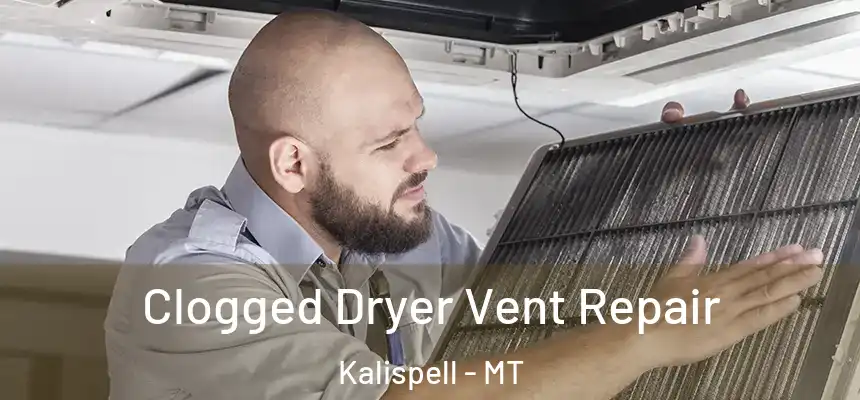  Clogged Dryer Vent Repair Kalispell - MT