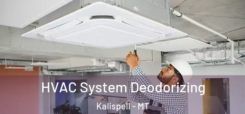  HVAC System Deodorizing Kalispell - MT