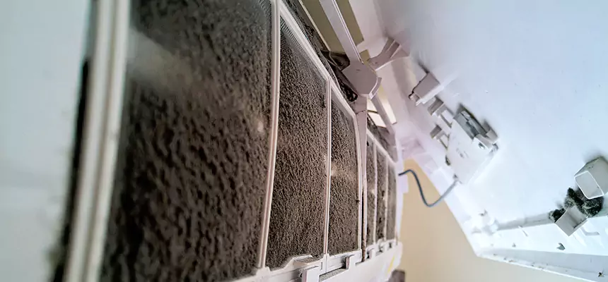 Preventive Air Duct Bacteria Removal in Kalispell