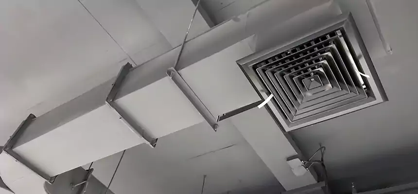 Restorative Allergy Relief Vent Cleaning – Coil, Blower & Housing Detail in Kalispell