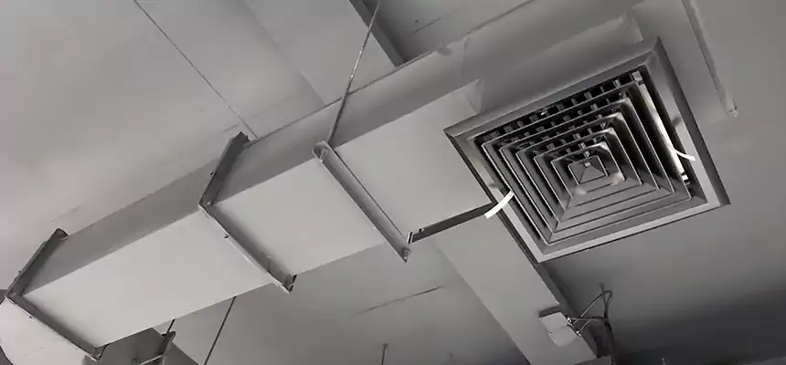 Our Pest Removal From Ducts Services in Kalispell, MT