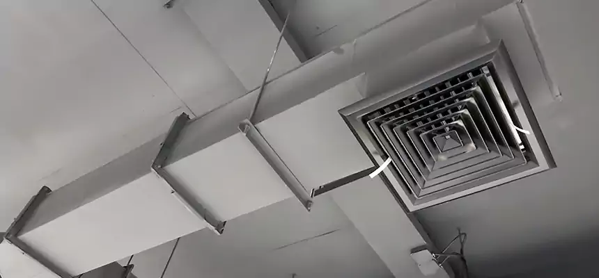 Our Rodent Droppings In Vents Services in Kalispell, MT