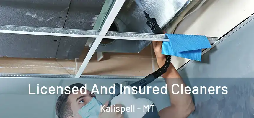 Licensed And Insured Cleaners Kalispell - MT