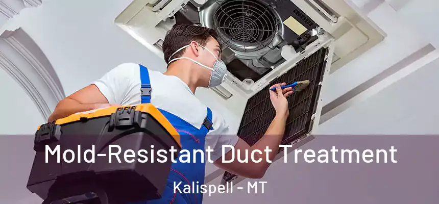  Mold-Resistant Duct Treatment Kalispell - MT