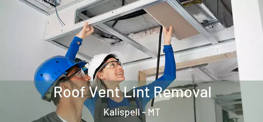  Roof Vent Lint Removal Kalispell - MT