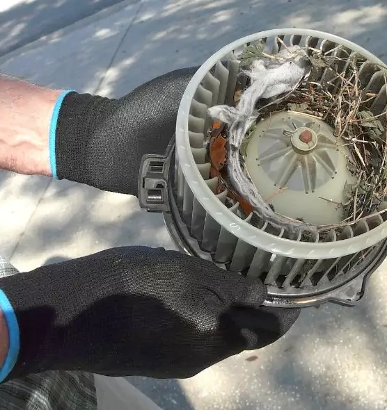 About Air Duct Mice Removal in Kalispell, MT